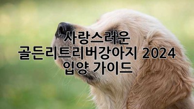🐶 사랑스러운 #골든리트리버강아지 2024 입양 가이드 🐾