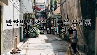 ✨반짝반짝✨ 햇살 머금은 유리창, 청소 꿀팁 대방출! ☀️