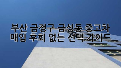 부산 금정구 금성동 중고차 매입, 후회 없는 선택 가이드