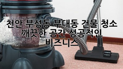 천안 부성동 부대동 건물 청소: 깨끗한 공간, 성공적인 비즈니스!